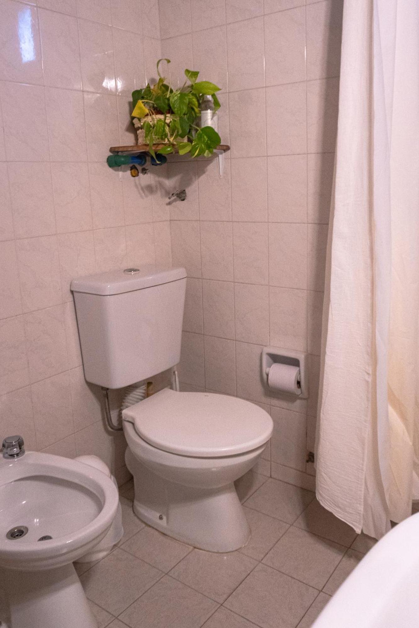 Chepatagonia Hostel & Experiences Puerto Madryn Room photo